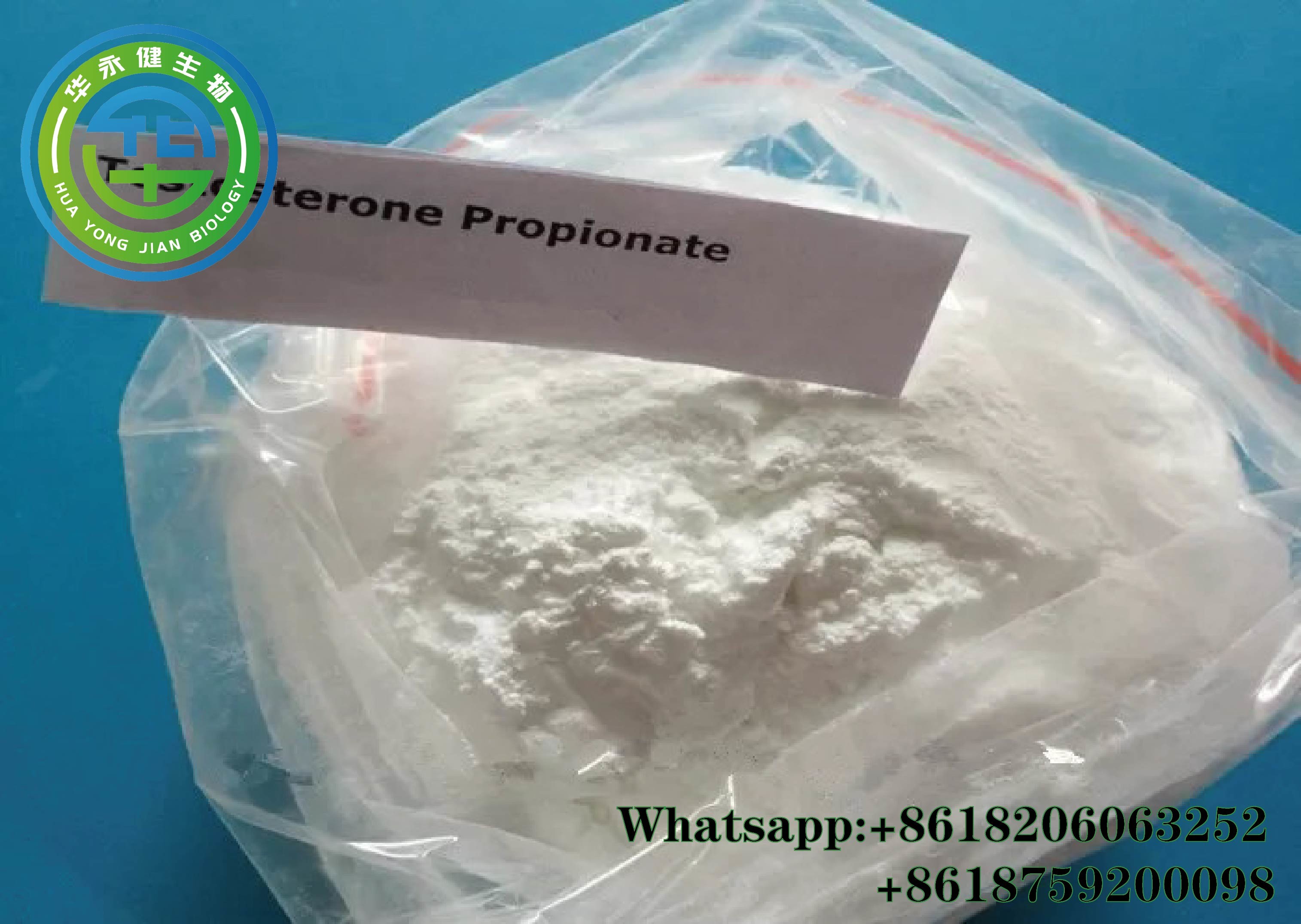 Wholesale Test Prop Muscle Building Steroids Testosterone Propionate Muscle Growth Steroids powder CAS 57-85-2 from china suppliers