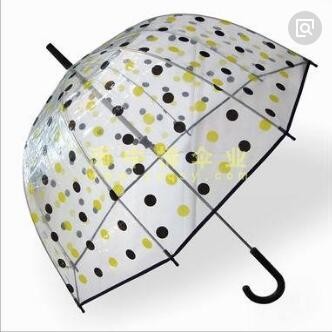 Wholesale Transparent See Through Umbrella , Windproof Clear Plastic Dome Umbrella Printed from china suppliers