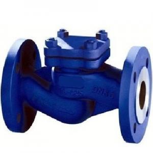 Wholesale DIN Lift Wafer Check Valve DN150 GS-C25 EN12266.1 , Wafer Double Plate Type from china suppliers