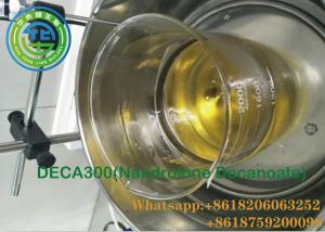 Wholesale Deca 300 Oil Based Steroids Nandrolone Decanoate 300mg/Ml  Cas 360-70-3 from china suppliers