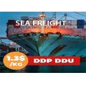 China To India LCL Ocean Shipping for sale