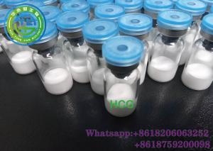 Wholesale human chorionic gonadotropin Peptide Hcg 5000iu human growth bodybuilding CasNO.9002-61-3 from china suppliers