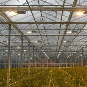 Wholesale High Tunnel Venlo Automation System Polycarbonate Sheet Greenhouse For Plants Growing from china suppliers