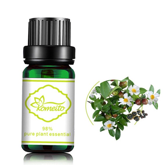 MSDS Tea Tree 100% Pure Plant Essential Oil For Aroma Diffuser for sale
