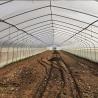 Buy cheap Galvanized Steel Frame Pe Film Greenhouse Single Span Greenhouse Tunnel 30 X 10 from wholesalers