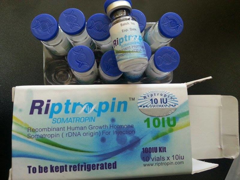 Wholesale 98% Purity Riptropin HGH 10 iu/vial 8iu/vial 12iu/vial Human Growth Hormone for Good Blood Test from china suppliers