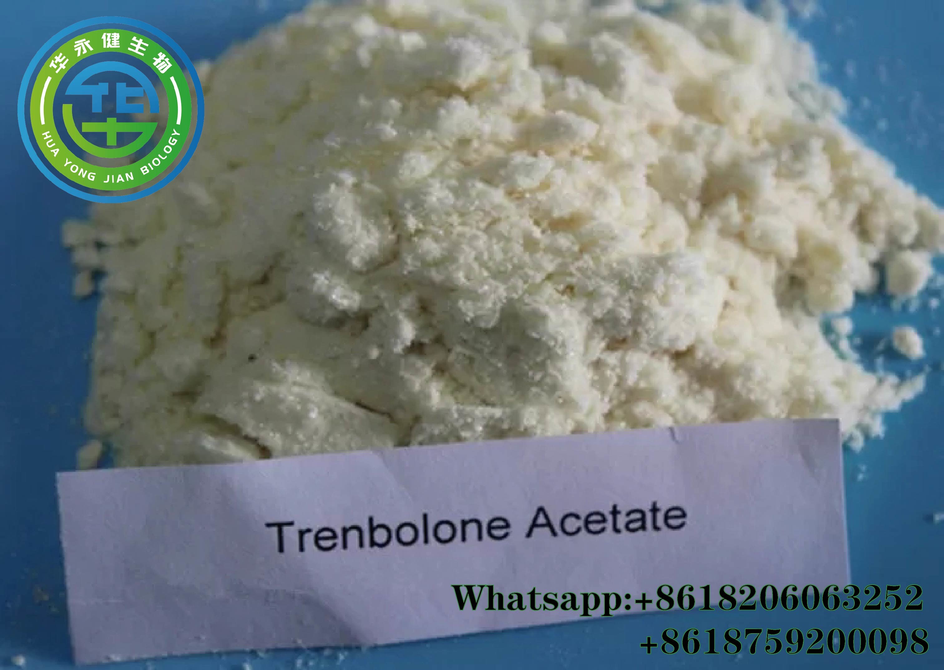 Wholesale CasNO.10161-34-9 Trenbolone Powder Yellow Tren A Wholesale Steroids Tren Acetate for Cycle from china suppliers