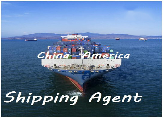 Door To Door DDU Shipping From China To Netherlands USA UK Denmark for sale