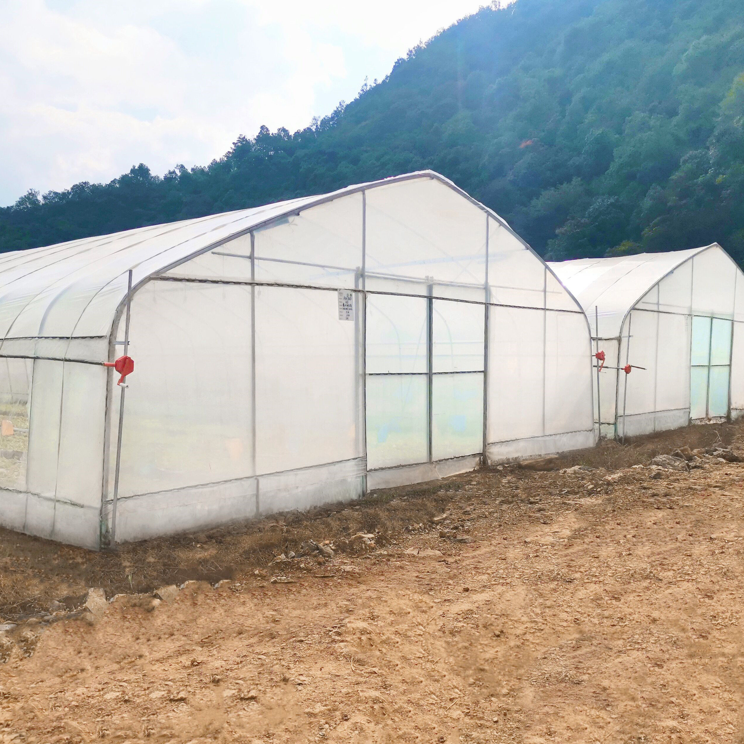 Wholesale Wholesale Greenhouse China Factory Price Manufacture Singlespan Hydroponic agriculture Greenhouse from china suppliers
