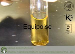 Equipoise cycle price