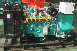 Wholesale 10kva - 125kva Natural Gas Generator Leroy Somer Alternator With Low Fuel Consumption from china suppliers
