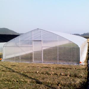 Wholesale High Strength Agricultural Poly Tunnel Tomato Greenhouse 5*15m 17*50ft from china suppliers