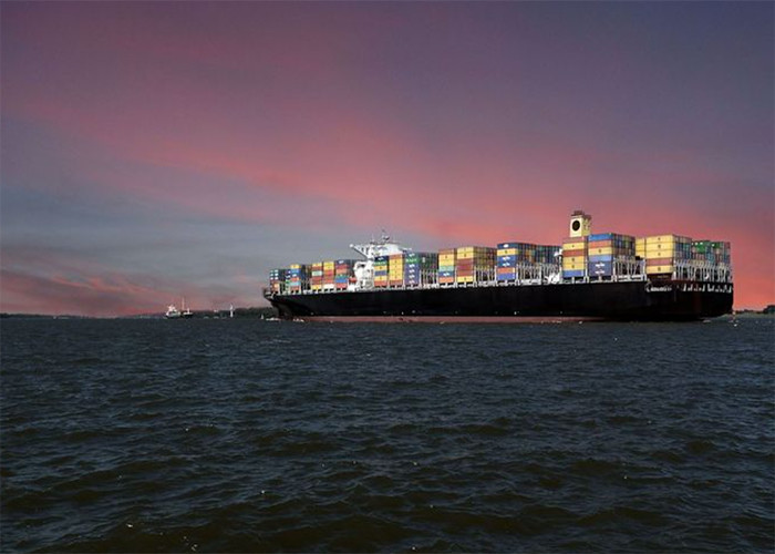DDP LCL Sea Freight Logistics Door To Door Service for sale