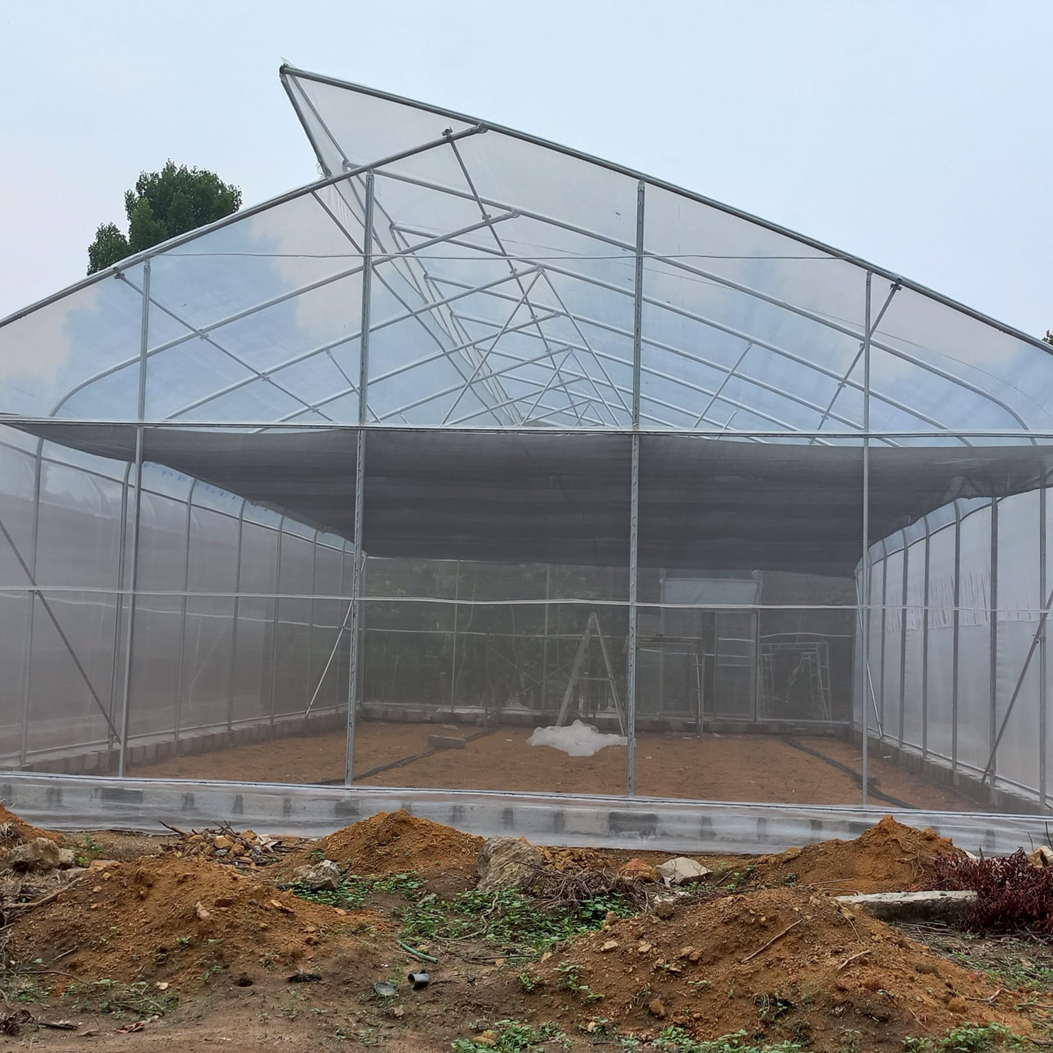 Wholesale OEM Hydroponic Tunnel Plastic Greenhouse Galvanizing Steel Farm Supply Greenhouse from china suppliers