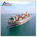 Sea Freight International Logistcs forwarder DDU DDP Services From Shenzhen to for sale