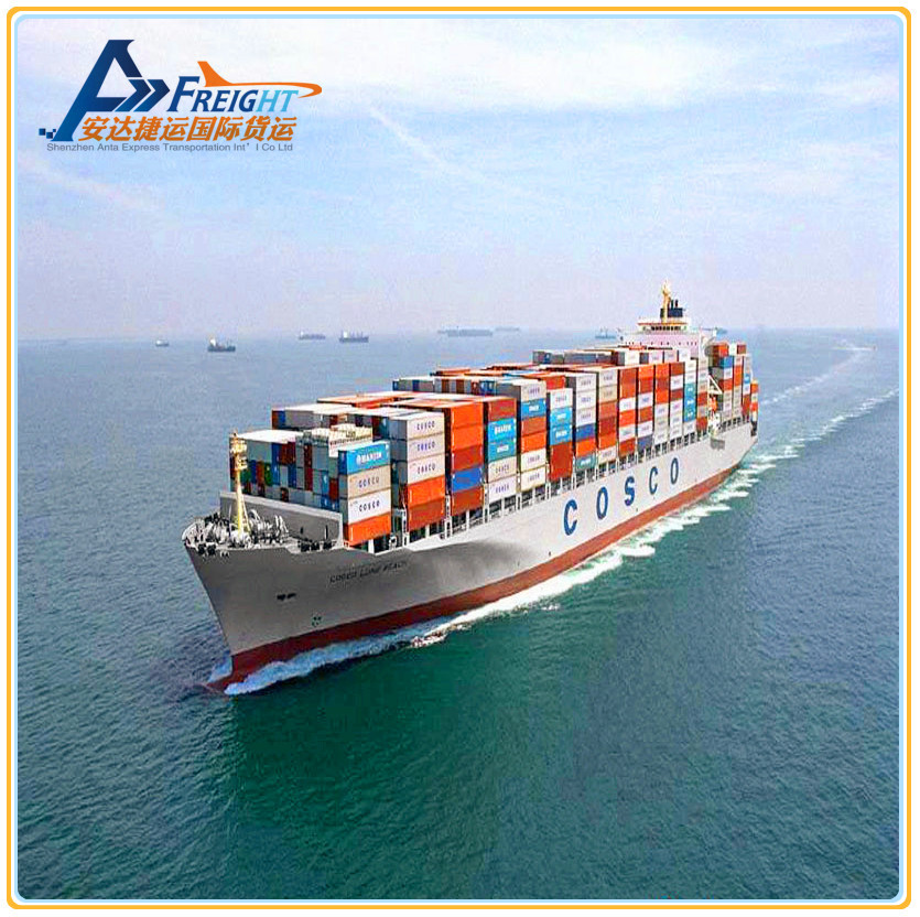 China Sea Freight International Logistcs forwarder DDU DDP Services From Shenzhen to Canada for sale