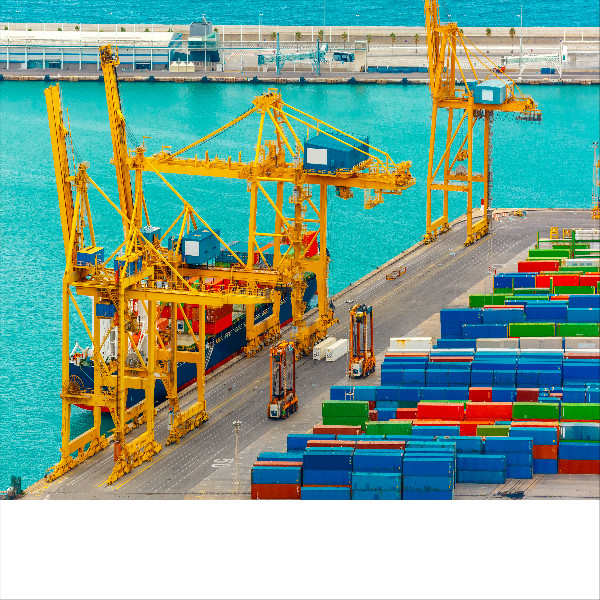 DDP International Sea Freight Forwarding From China To Europe for sale