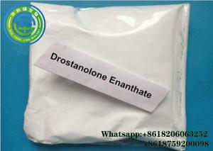 Wholesale Oral Anabolic Steroid Drostanolone Enanthate Cas 472-61-145 Supplements Lose Weight from china suppliers