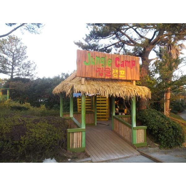 South Africa Envirment Synthetic Fake Thatch Tile for Roof Decoration