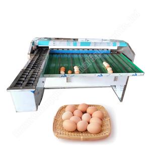 Egg Size Sort Machine Egg Sorter Machine Egg Sorter Egg Classify Machine