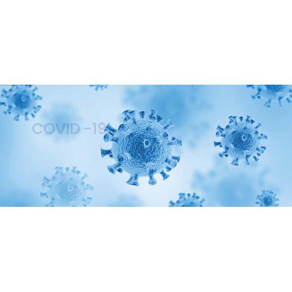 15 Minute Covid 19 Antibody And Antigen Rapid Test Cassette
