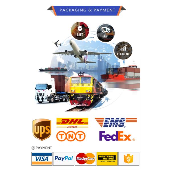 Guoyue JB200X500-B Pneumatic Air Cylinder 200mm Bore Flange Mount