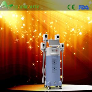 China cavitation fat burning best quality Cryolipolysis syneron cryolipo on sale