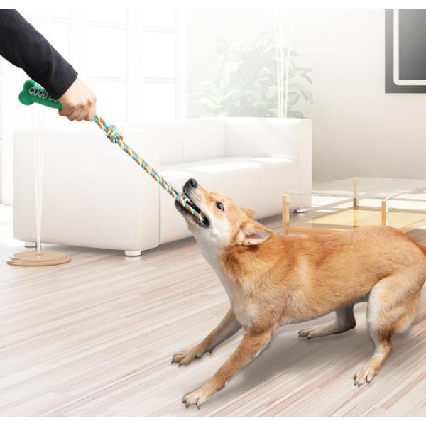 dog teeth cleaning chew toy