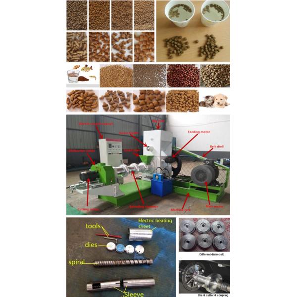 400 Kg/H Fish Feed Extruder Floating Fish Feed Pellet Machine Control Speed