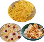 EN AS Standard Corn Flakes Production Line SS Made 35m / 42m Length Optional
