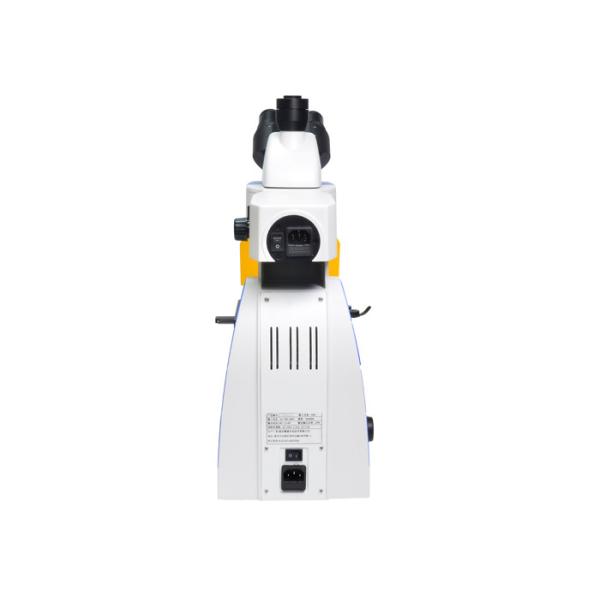 LED Trinocular Upright Fluorescence Microscope with B & G Fluorescence Filter