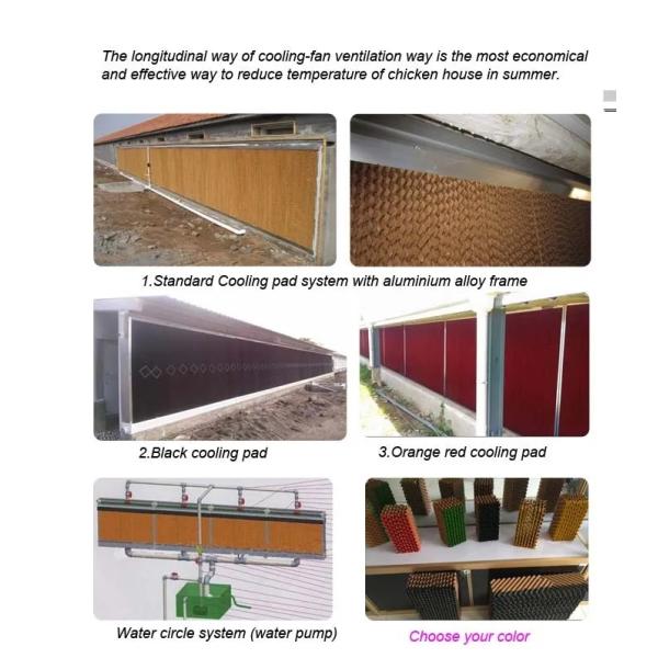 Automatic Poultry Control Shed Equipment For Chicken Broiler And Breeder