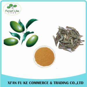 China High Quality Olive Leaf Extract Oleuropein 25% on sale