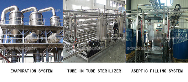 Stable Performance Mango Processing Line Mango Concentrate Turnkey Solution