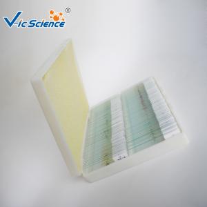 Wholesale High Performance Mixed Prepared Microscope Slides 100pcs For Primary School from china suppliers