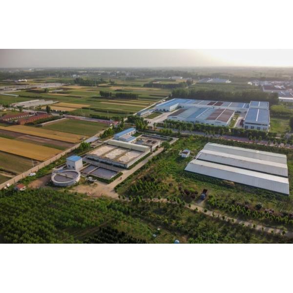 No Allergens 30*30mm 7% Moisture Crispy Fried Garlic