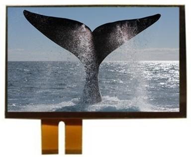 Quality IPS LCD TFT Display Module for sale