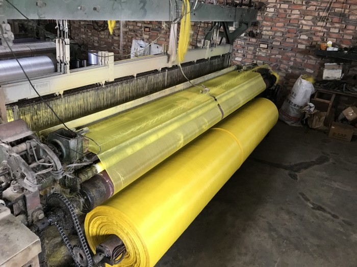 Anti Insect Wire Mesh , Fly Screen Netting IOS9001 SGS Standard