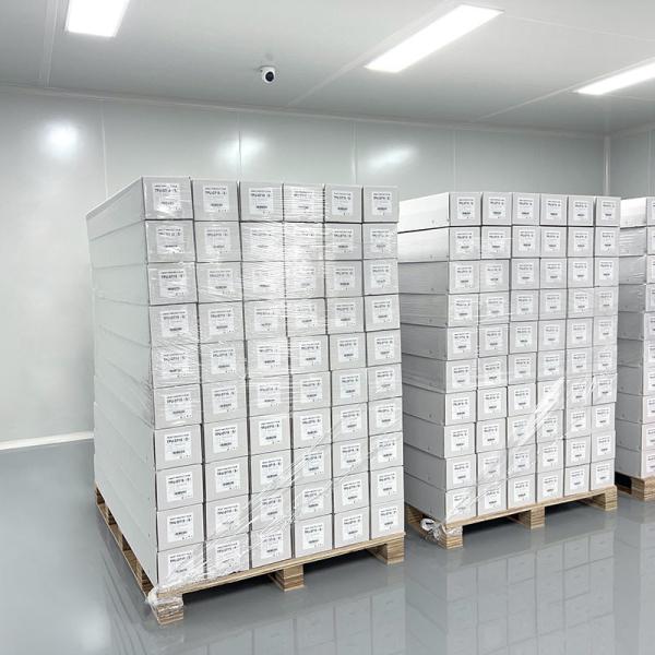 Anti Yellowing Glossy 6.5mil TPH-AT Anti Acid Rain Transparent Car Protective Film