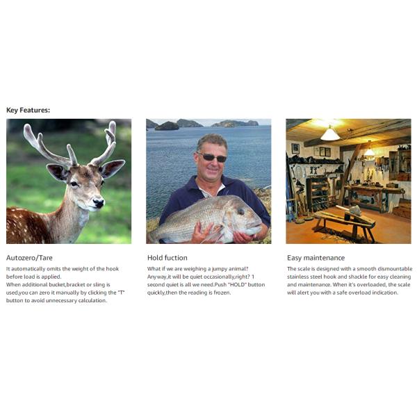 300kg Digital Crane Scale with Colourful Display and Strong ABS Stainless Steel Construction