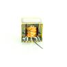 Buy cheap Custom PQ2625 HF Transformer 50Hz 60Hz from wholesalers