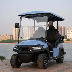 2 4 6 Seat Electric Lithium Battery Sightseeing Golf Cart Golf Buggy Car with DOT Comfortable and Spacious