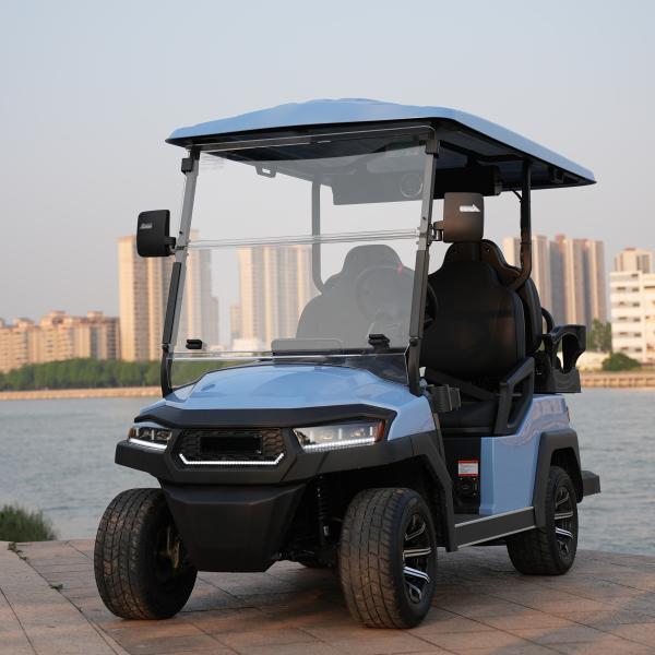 Quality 2 4 6 Seat Electric Lithium Battery Sightseeing Golf Cart Golf Buggy Car with DOT Comfortable and Spacious for sale
