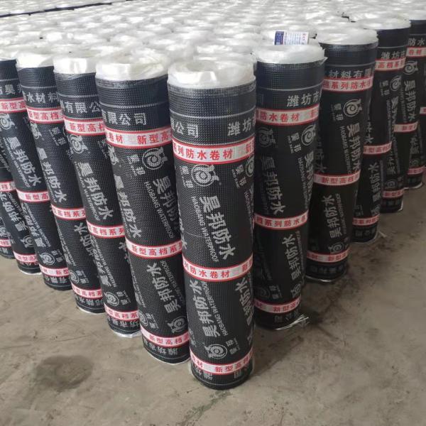 High Elastic Sbs Modified Bitumen Membrane 10m/Roll For Roof WP & MP