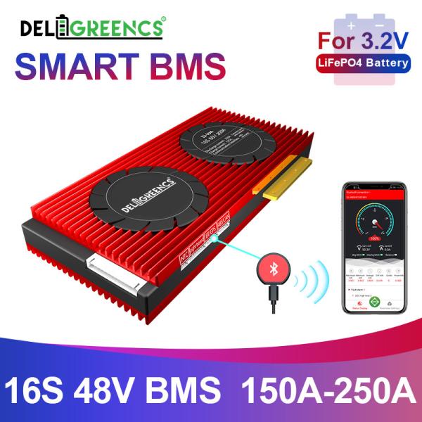 Deligreen Smart Bms Lifepo4 Battery 16S 48v 150-250A With UART BT 485 CAN