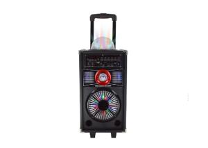 Remote Control Portable Trolley Speaker Power Bank Speaker With Handle