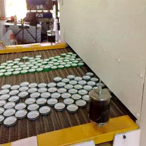 Twist Off Cap Machine with CNC Press