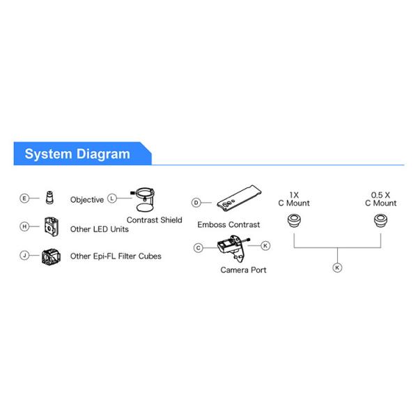 OPTO EDU A14.1065 Tilting Inverted Phase Contrast Microscope