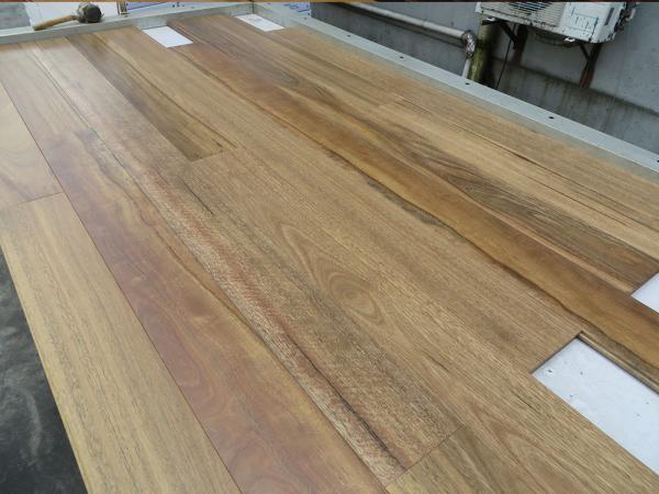 Quality Quality Matt Australian Spotted Gum Solid Timber Flooring , Tongue And Groove for sale