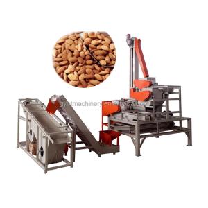 230 KG Automatic Pecan Kernel Peeling Machine Hard Shell Cracker for Walnut Shelling